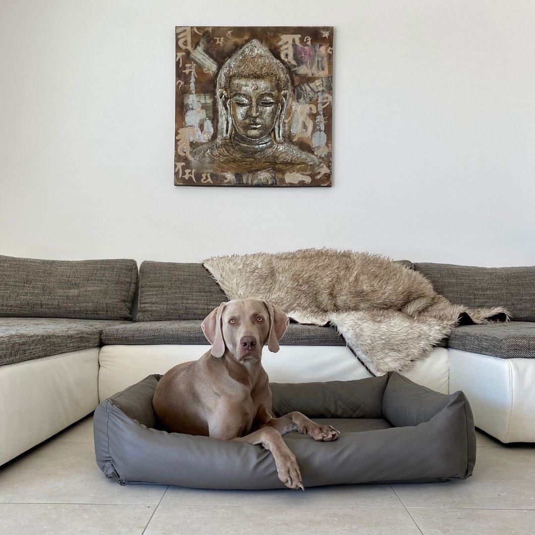 Hundebett AMAROK Classic Kunstleder-Design (innen gesteppt) - Pfoten24