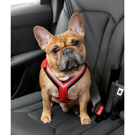 Pfoten24 - Hundezubehör fürs Auto, Autohundebetten, Autohundegitter