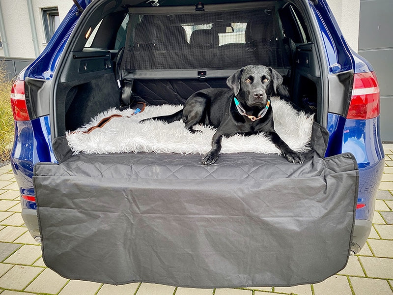 Kofferraumschutz für den modernen Hund unterwegs