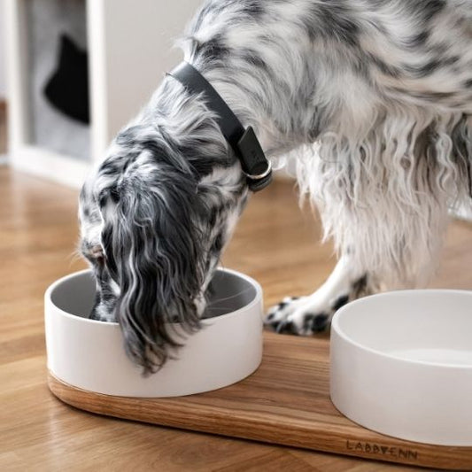 LABBVENN Hundenapf & Katzennapf VUKU CERAMIC DOUBLE BUFFET - Pfoten24