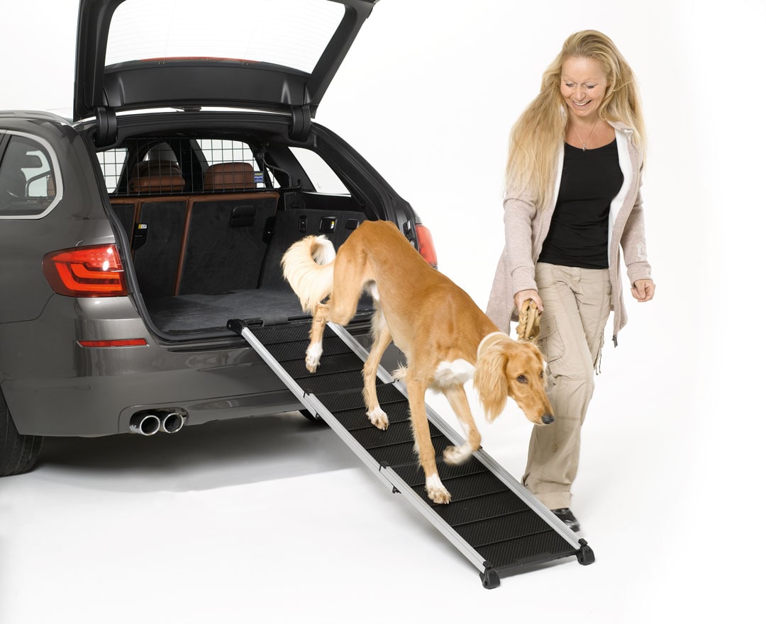 Teleskop-Hunderampe - Auto-Einstiegshilfe für Hunde, Alu